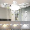 F3 Fan Light Ceiling Light With an Integrated Fan