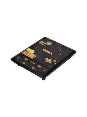 Induction Cooker
